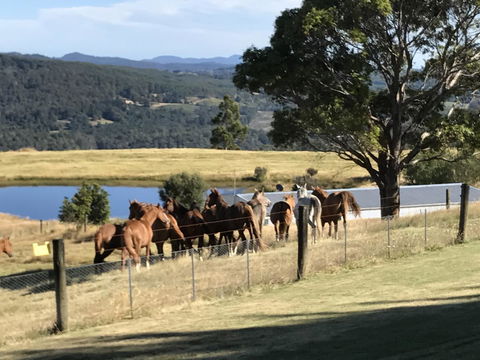 Highgrove - Accommodation Sunshine Coast 25