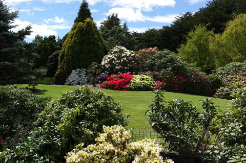 Highgrove - Accommodation Sunshine Coast 18