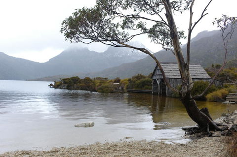 Highgrove - Accommodation Sunshine Coast 28