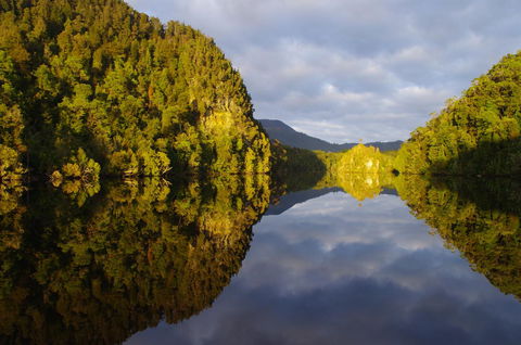 The Crays Accommodation - Accommodation Sunshine Coast 39