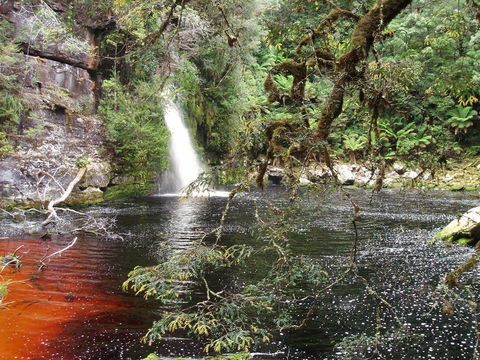 The Crays Accommodation - Accommodation Sunshine Coast 38