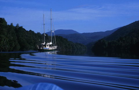 The Crays Accommodation - Accommodation Sunshine Coast 36