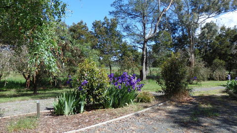 Karoola Cottage Self Contained - Accommodation Sunshine Coast 19
