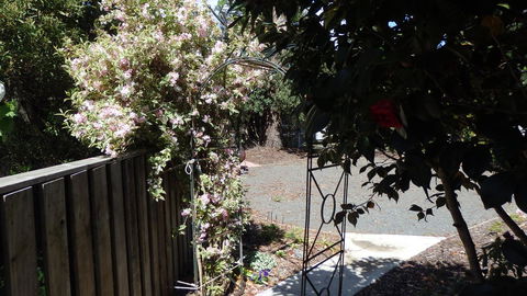 Karoola Cottage Self Contained - Accommodation Sunshine Coast 20