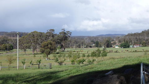 Karoola Cottage Self Contained - Accommodation Sunshine Coast 11