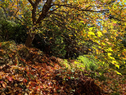 Mountain Blue Guest House - Accommodation Sunshine Coast 9