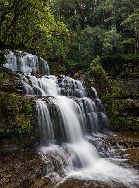 Mountain Blue Guest House - Accommodation Sunshine Coast 22