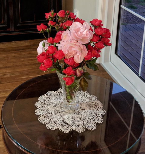 Mountain Blue Guest House - Accommodation Sunshine Coast 8