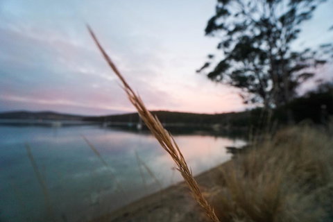 Free Spirit Pods - Accommodation Sunshine Coast 8