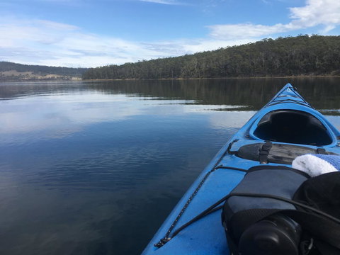 Free Spirit Pods - Accommodation Sunshine Coast 20
