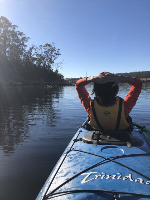 Free Spirit Pods - Accommodation Sunshine Coast 1