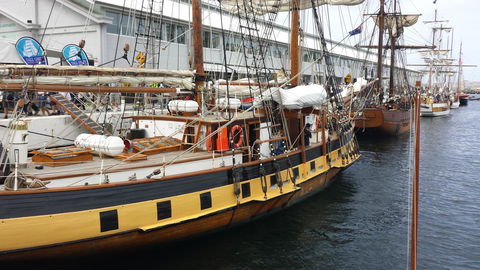 Jenatt Apartments Salamanca - Accommodation Sunshine Coast 1