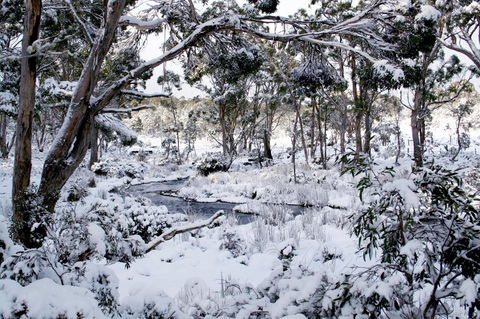 Cradle Mountain Love Shack - Accommodation Sunshine Coast 11