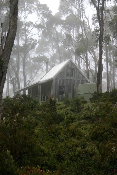 Cradle Mountain Love Shack - Accommodation Sunshine Coast 6