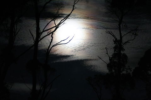 Cradle Mountain Love Shack - Accommodation Sunshine Coast 12