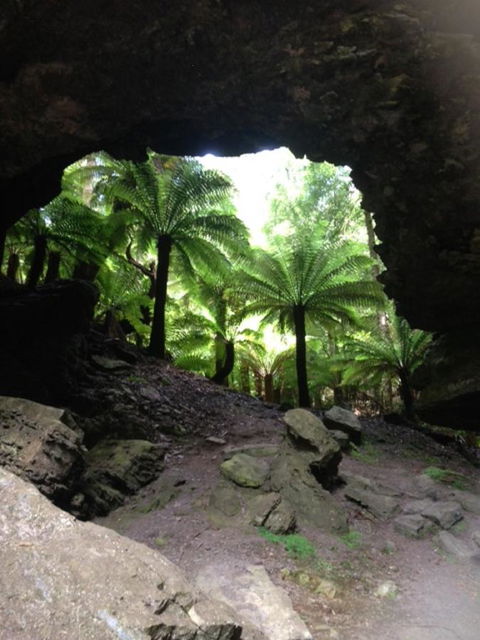 Sheer Pleasure Accommodation - Accommodation Sunshine Coast 21