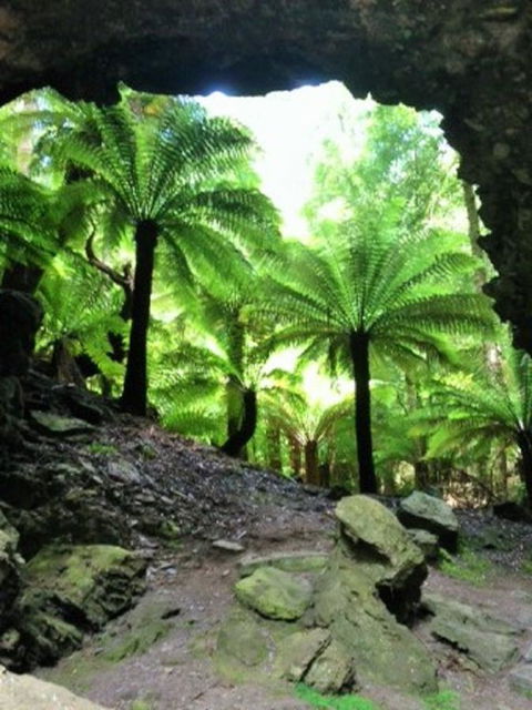 Sheer Pleasure Accommodation - Accommodation Sunshine Coast 22