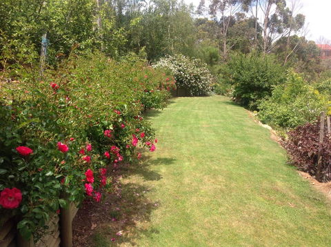 Sheer Pleasure Accommodation - Accommodation Sunshine Coast 7