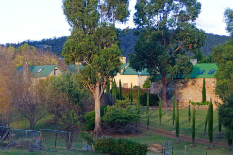Cleburne Homestead - Accommodation Sunshine Coast 8