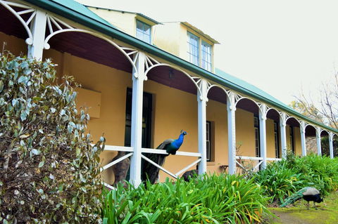 Cleburne Homestead - Accommodation Sunshine Coast 29