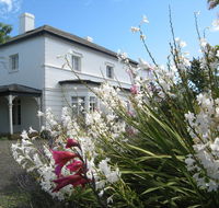 The Grove Cottages - Accommodation Sunshine Coast