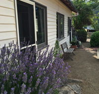 Walnut Cottage - Accommodation Sunshine Coast
