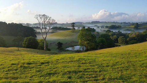 Newyan @ Maleny - Accommodation Sunshine Coast 3