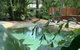 Noosa Beach Cottage - thumb 3