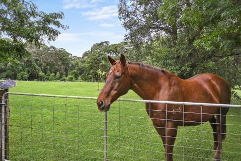 NUNGAROO COTTAGE - Accommodation Sunshine Coast 3