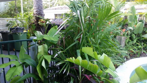 Oasis On Nautilus - Accommodation Sunshine Coast 3