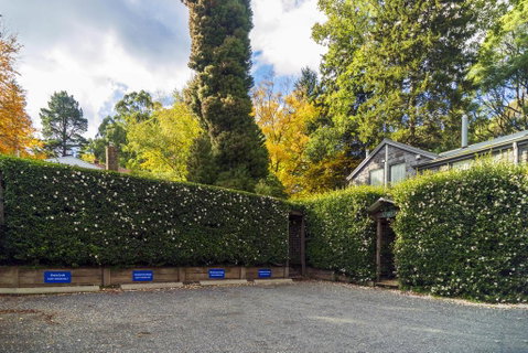 Observatory Cottages - Accommodation Sunshine Coast 3