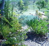 Old Miners' Cottages Bed and Breakfast
