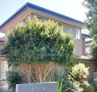 One Street Back from the Surf Beach - Accommodation Sunshine Coast
