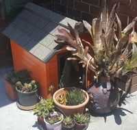 Orange Grove Hotel - Accommodation Sunshine Coast