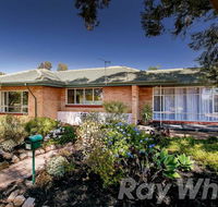 pasadena quinlan - Accommodation Sunshine Coast