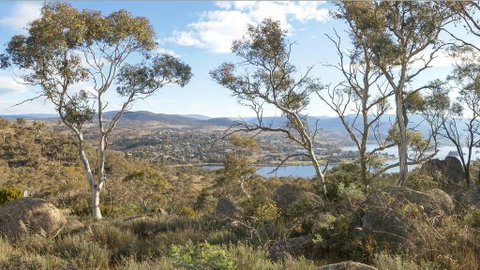 Peak View House - Accommodation Sunshine Coast 3