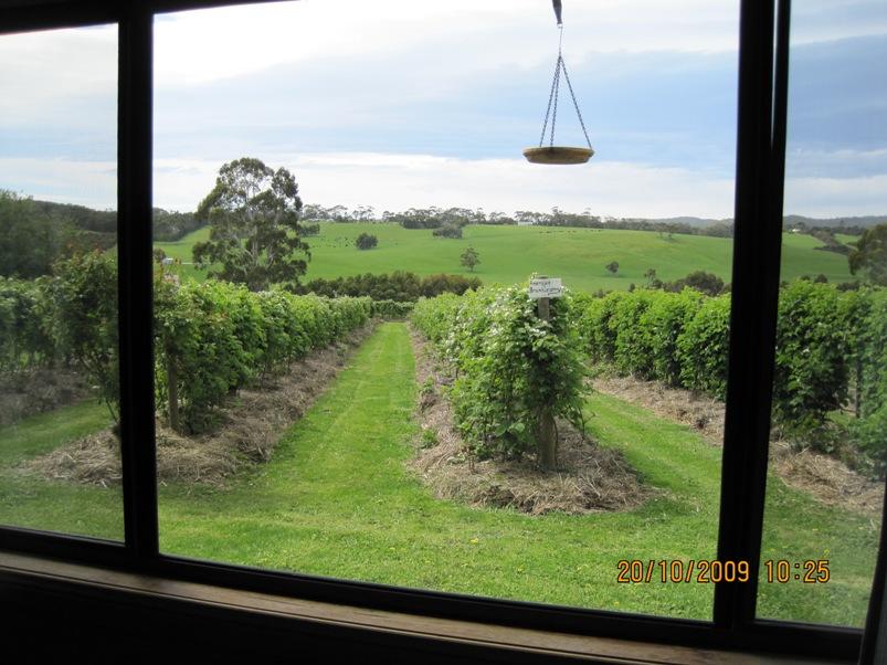Whoorel ACT Accommodation Sunshine Coast