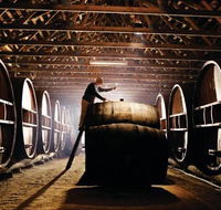 Pieter van Gent Winery  Vineyard - Accommodation Sunshine Coast