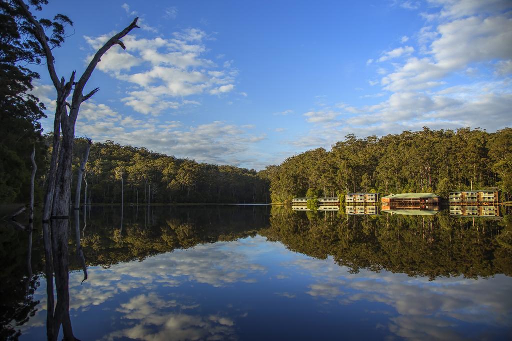 Beedelup WA Accommodation Sunshine Coast