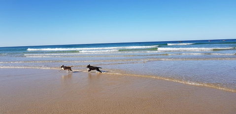Red Door Beach House - Marcoola Beach - PET FRIENDLY, FOXTEL, WIFI, 500 BOND, Linen Supplied - Accommodation Sunshine Coast 1