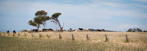 SALT - 37 Oceanview Drive - Accommodation Sunshine Coast 2