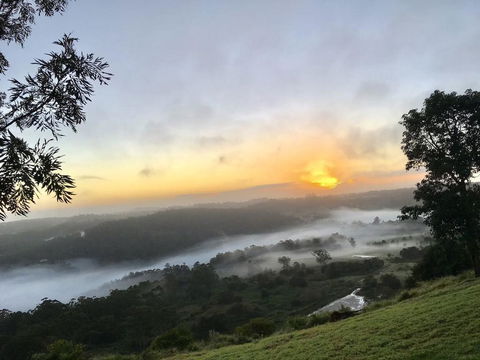 Scandinavian Cabin - Maleny - One Bedroom - Accommodation Sunshine Coast 2