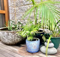 SEAeSCAPE Apollo Bay - Accommodation Sunshine Coast