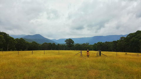 Secret Valley Escape - Accommodation Sunshine Coast 0