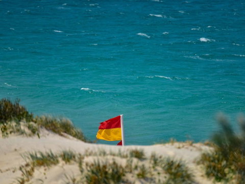 Shady Treez - Pet Friendly - Accommodation Sunshine Coast 1