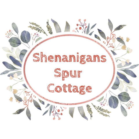 Shenanigans Spur Cottage - Accommodation Sunshine Coast 3