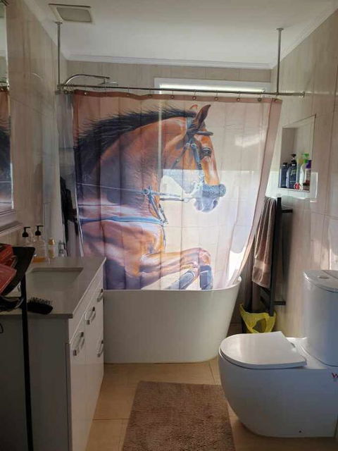 Silverbirch Cottage - Accommodation Sunshine Coast 3