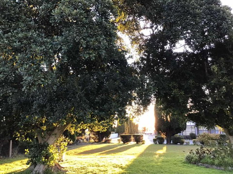 Sir Francis Drake - Accommodation Sunshine Coast 2