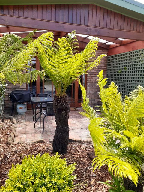 Sleepy Hollow Hideout (Hidout 2) - Accommodation Sunshine Coast 1