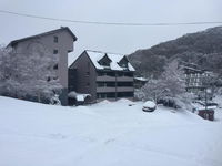 Book Falls Creek Accommodation Vacations Accommodation Sunshine Coast Accommodation Sunshine Coast
